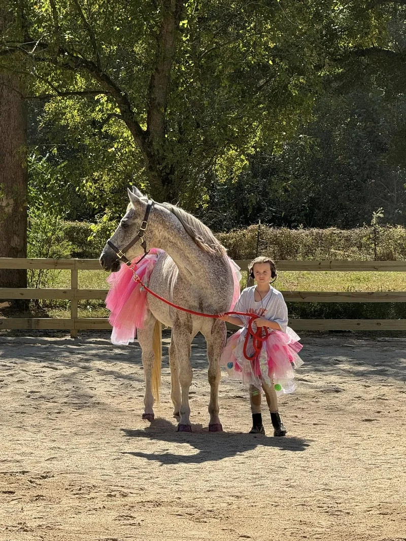 Slade — retired horse at Horses and Hope